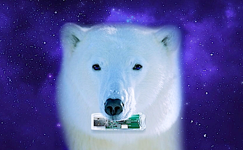 6a8b714f-5fec-4857-b852-03cea7714e08.jpeg